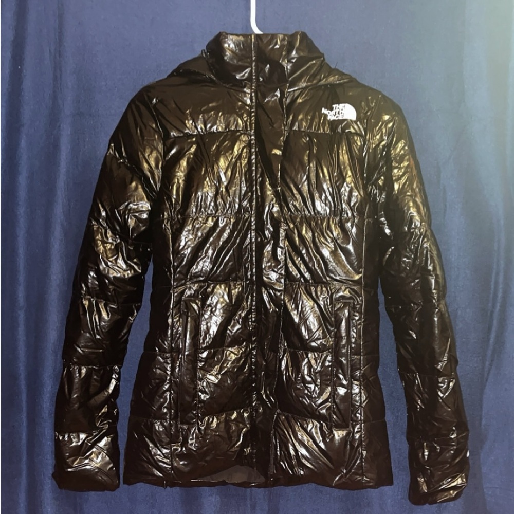 The north face coat
